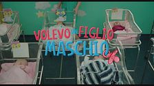 Trailer - Volevo un figlio maschio
