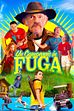 Trailer - Un campeggio in fuga