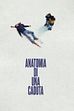 Trailer - Anatomia di una caduta