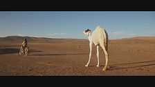 Trailer - Teo e Zodi' - Un cammello per amico
