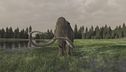 Ep. 3 - I segreti dei mammut giganti