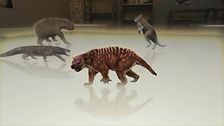Ep. 6 - I segreti della tigre della Tasmania