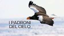 I padroni del cielo