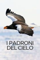 I padroni del cielo