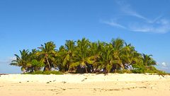 Lunedì 8 aprile - Puntata 1