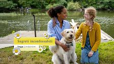 Inga Lindstrom - Segreti inconfessabili