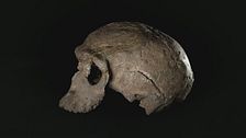 Ep. 1 - Il primo Homo Sapiens