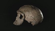 Ep. 1 - Il primo Homo Sapiens