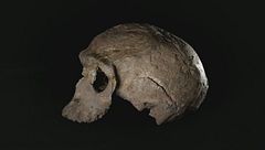 Ep. 1 - Il primo Homo Sapiens