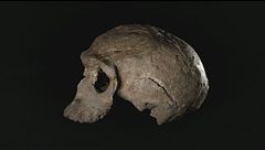 Ep. 1 - Il primo Homo Sapiens