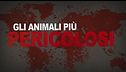 Ep. 1 - La guerra dei carnivori