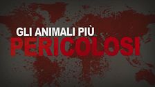 Ep. 1 - La guerra dei carnivori