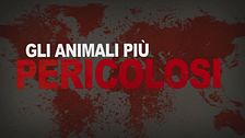 Ep. 1 - La guerra dei carnivori