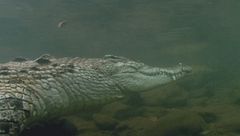 Ep. 2 - Fiumi mortali