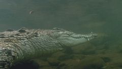 Ep. 2 - Fiumi mortali