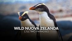 Wild Nuova Zelanda: l'ultimo paradiso