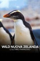 Wild Nuova Zelanda: l'ultimo paradiso