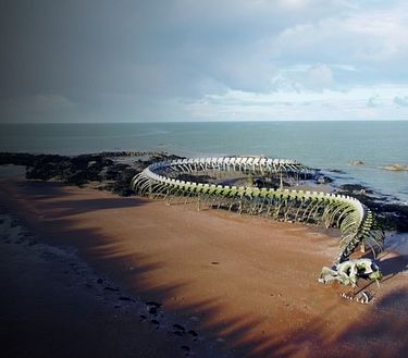 Aspettarsi l'inaspettato