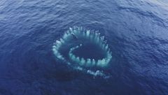 I misteri dell'oceano