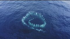 I misteri dell'oceano