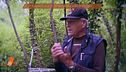 Il giallo di Lilly e la verità di Claudio