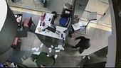 Napoli, blitz armato al ristorante