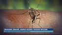 L'estate delle zanzare, è allarme invasione