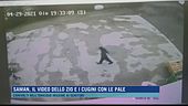 Saman, il video dello zio e i cugini con le pale