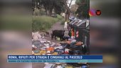 Roma, rifiuti per strada e cinghiali al pascolo