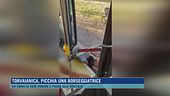 Torvaianica, picchia una borseggiatrice
