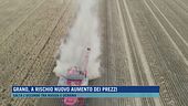 Grano, a rischio nuovo aumento dei prezzi