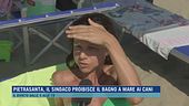Pietrasanta, il sindaco proibisce il bagno a a mare ai cani