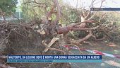Maltempo, da Lissone dove è morta una donna schiacciata s da un albero
