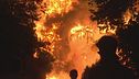 Caldo record, sud Italia devastato dagli incendi