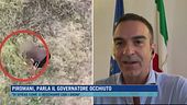 Piromani, parla il governatore Occhiuto
