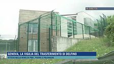 Genova, la vigilia del trasferimento di Delfino