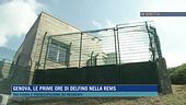 Genova, le prime ore di Delfino nella rems
