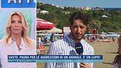Vasto, paura per le aggressioni di un animale, è un lupo?