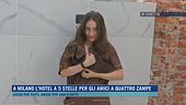 A Milano l'hotel a 5 stelle per gli amici a quattro zampe