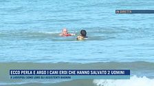 Ecco Perla e Argo, i cani eroi