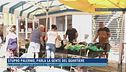 Stupro Palermo, parla la gente del  quartiere