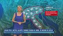 Disagi per il meteo, allerte e bombe d'acqua al nord, 50 incendi in Sicilia