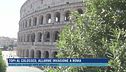 Topi al Colosseo, allarme invasione a Roma