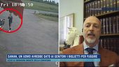 Saman, parla l'avvocato dello zio Danish