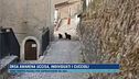 Orsa Amarena uccisa, individuati i cuccioli