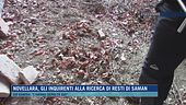 Novellara, gli inquirenti alla ricerca di resti di Saman