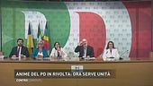 Tutti i crucci del PD