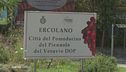 Le preoccupazioni dei comuni italiani