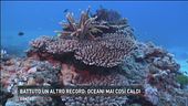 Battuto un altro record: oceani mai cosi caldi