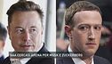 AAA cercasi arena per Musk e Zuckerberg
